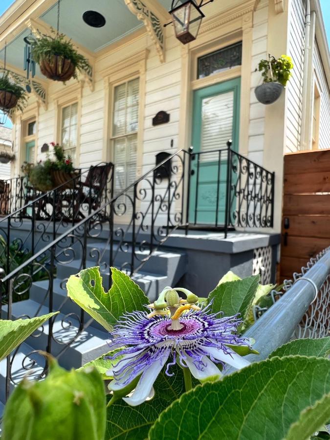 Luxury Historic Shotgun Home In Lower Garden District Nueva Orleans Exterior foto