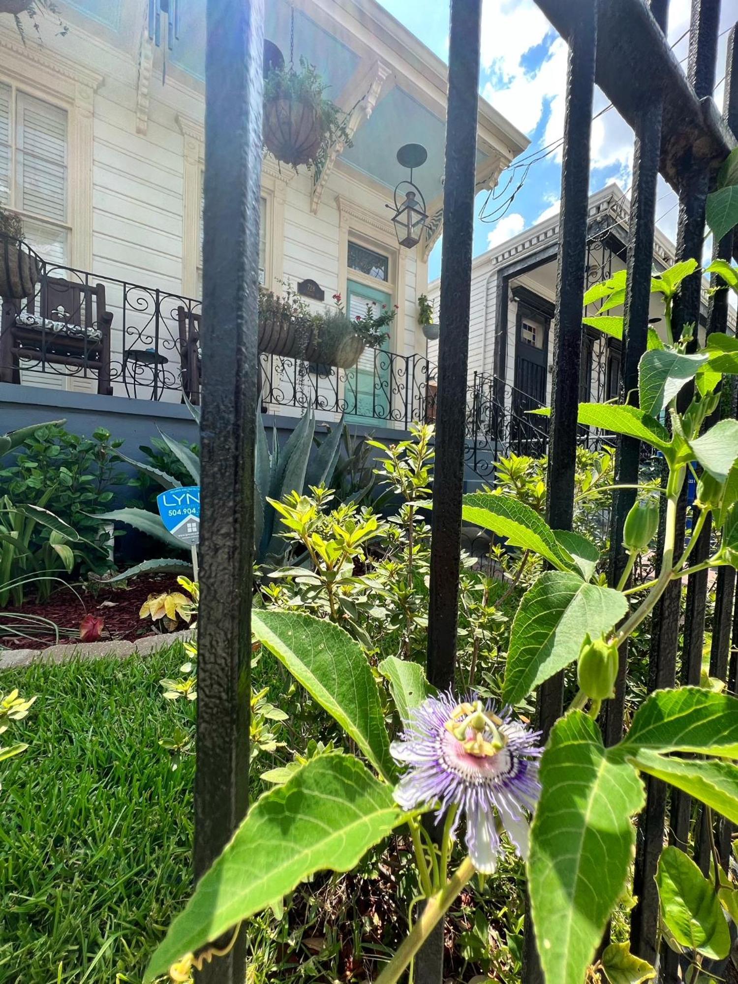 Luxury Historic Shotgun Home In Lower Garden District Nueva Orleans Exterior foto